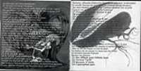page_6_7