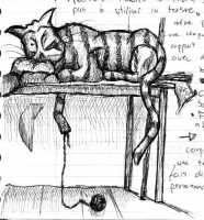 chat