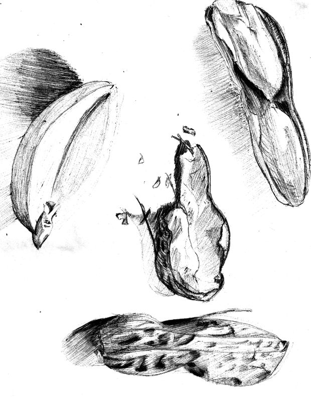 peanuts