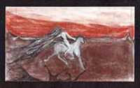 sarah_horse_red_sky