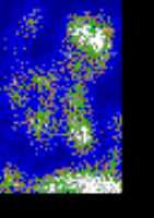 world_map