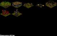 marecage_2