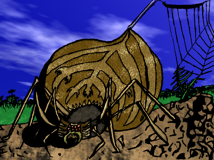 spider