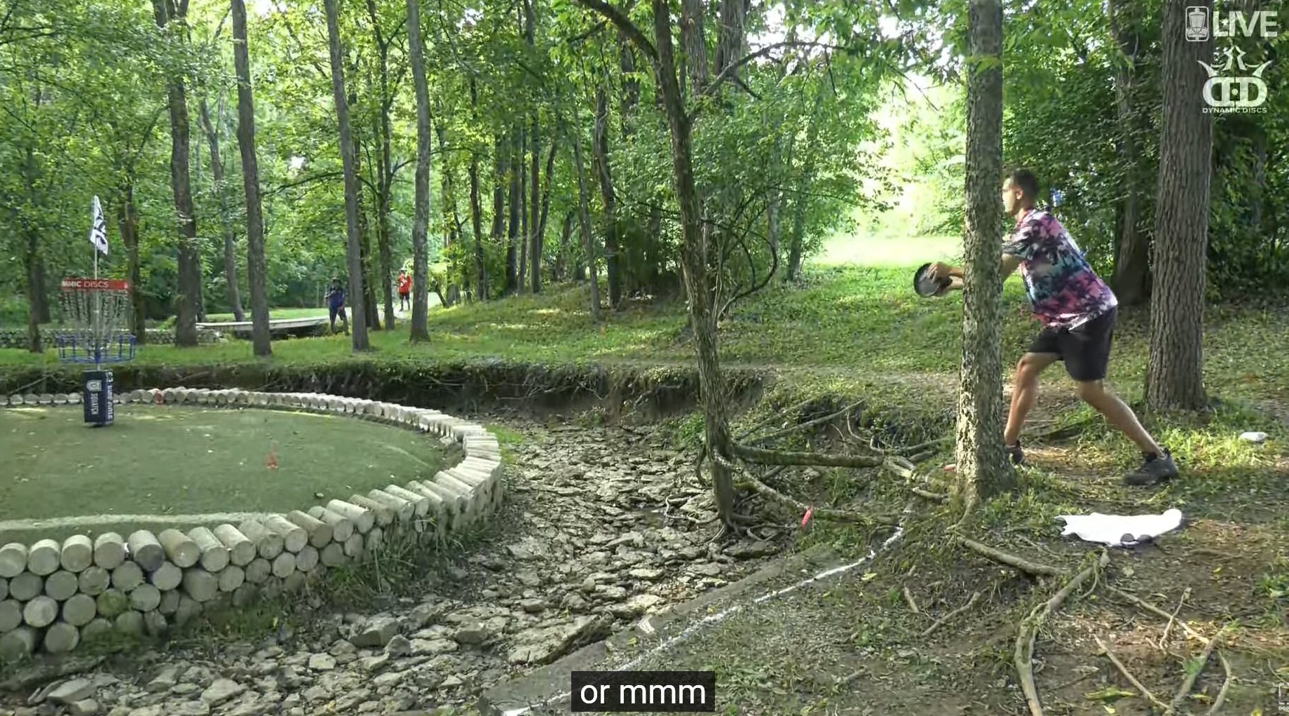 discgolf10mbasketline