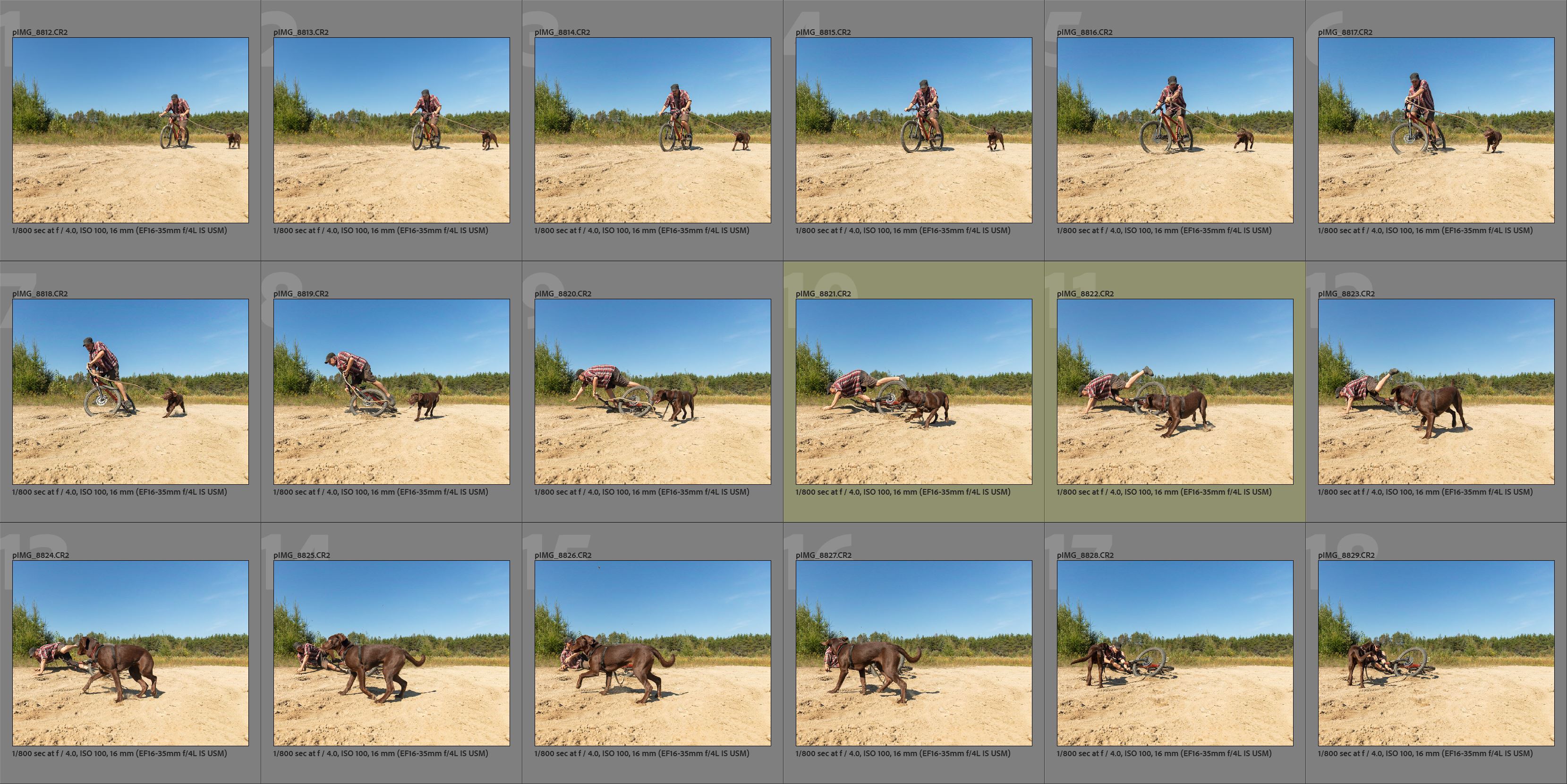taiga_elz_bike_crash