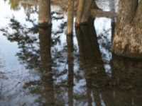 eau_mirroir