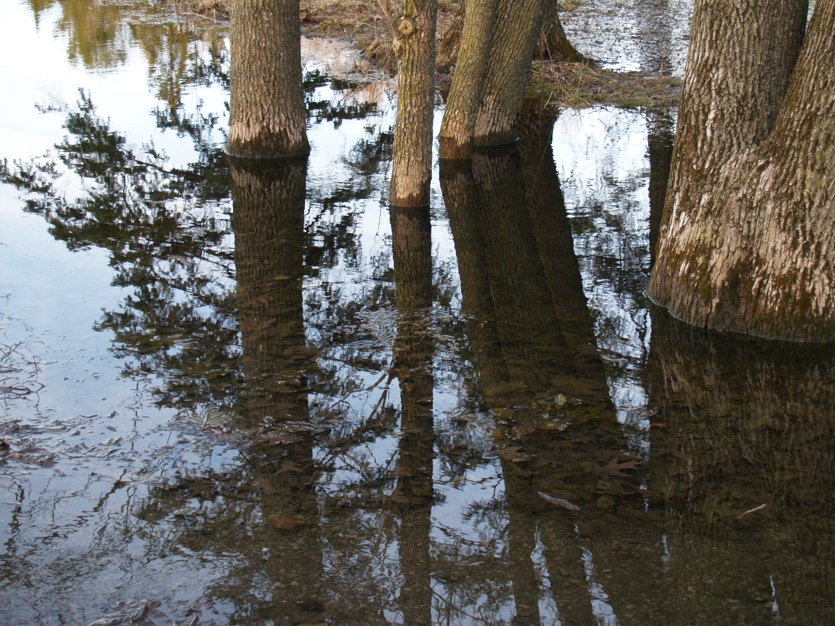 eau_mirroir