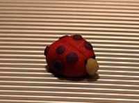 maspin_adeline_ladybug