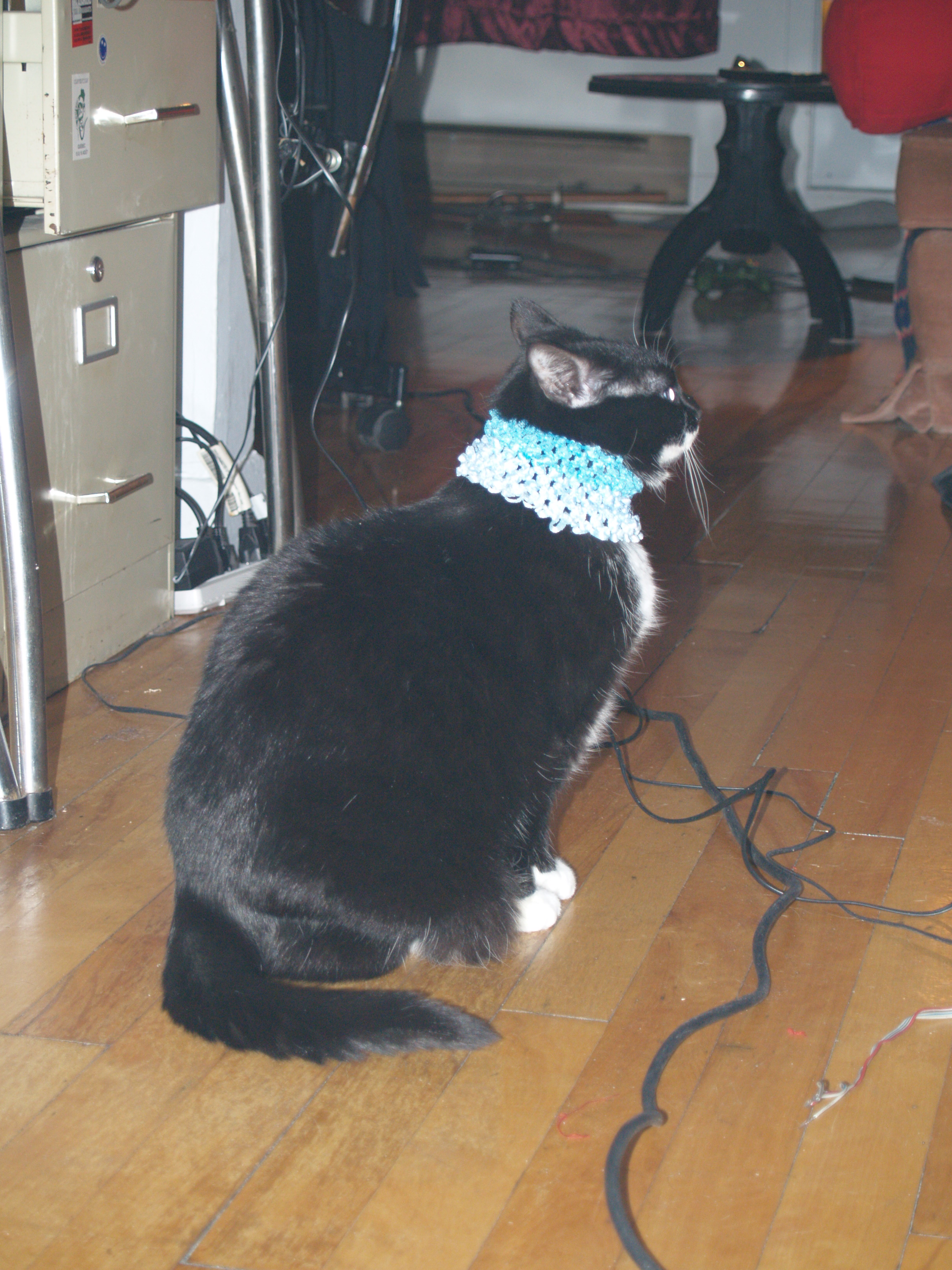 minou_foulard