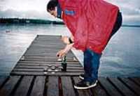 wharf_port