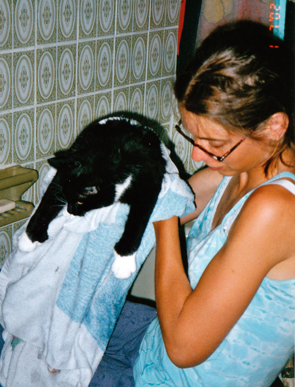 washing_the_cat