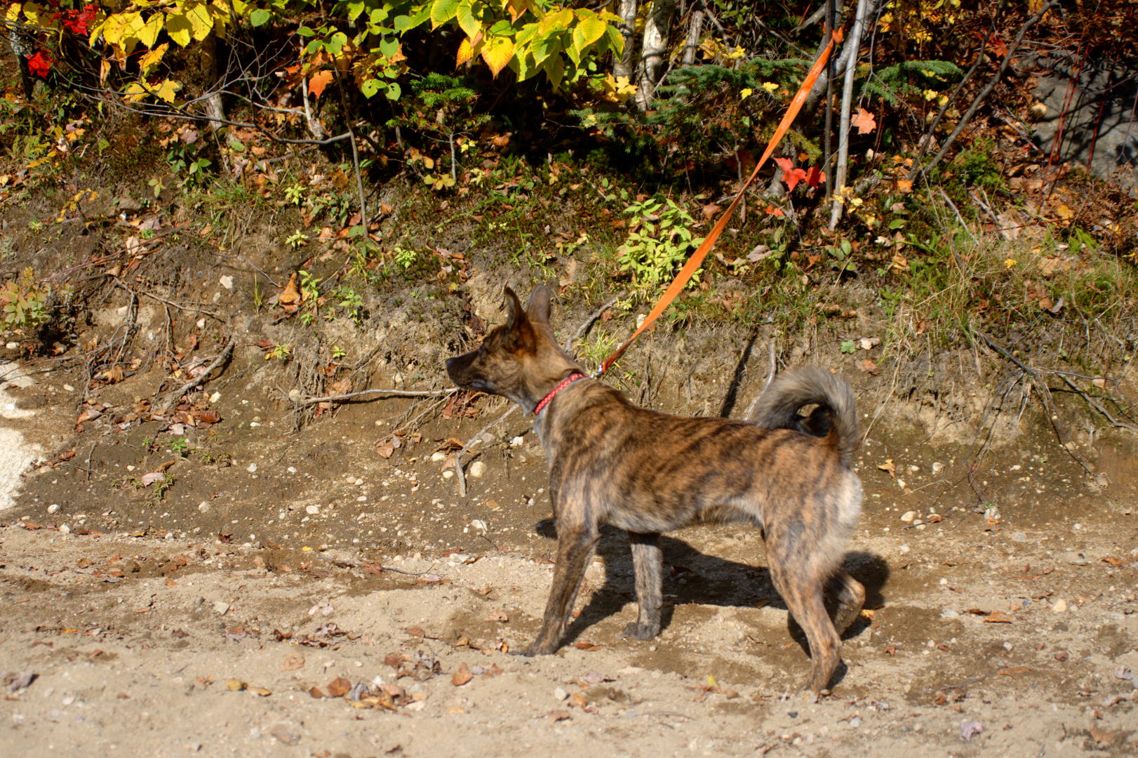 2015_10_12_lac_Frippon_4