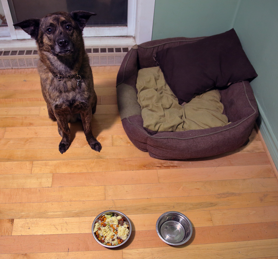 4yo_birthday_meal_beryl