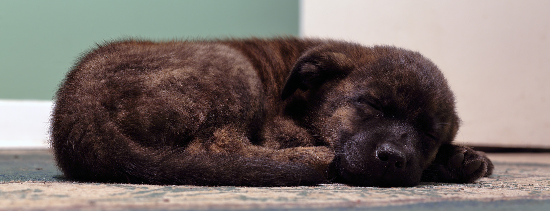 5ieme_jour_sleeping