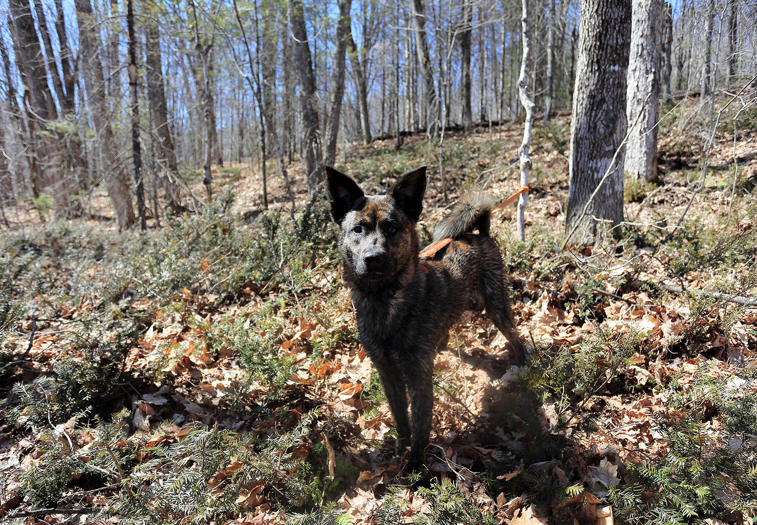 Beryl_Etang_Bellevue_portrait