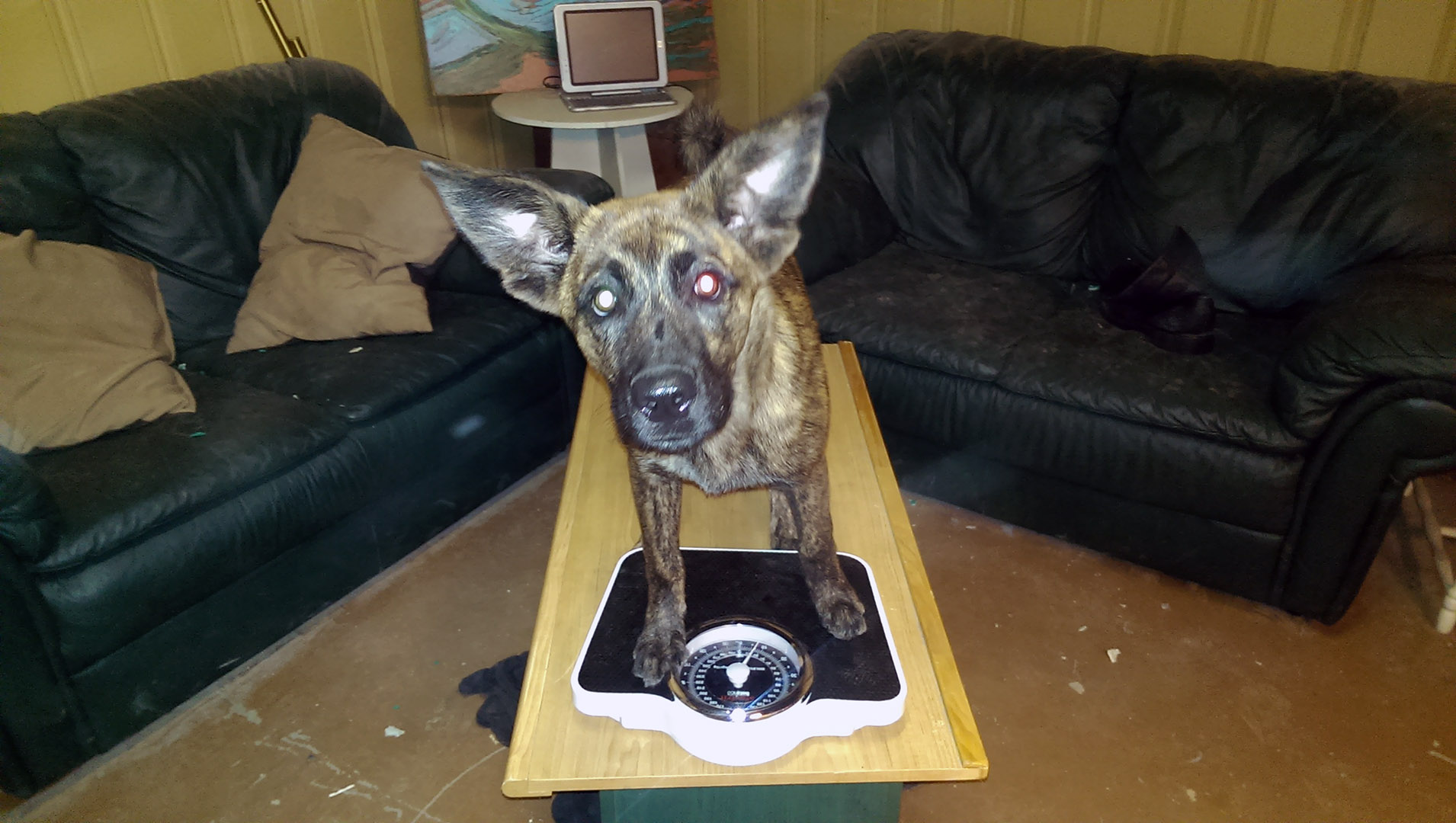 Beryl_balance