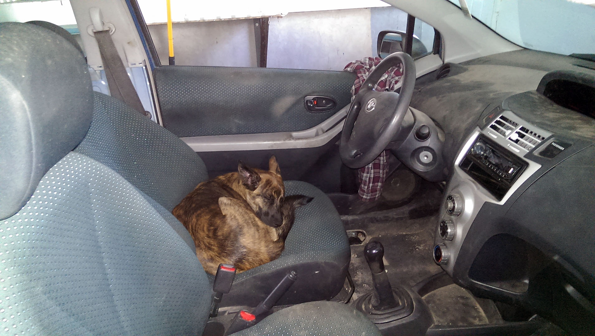 Beryl_conducteur