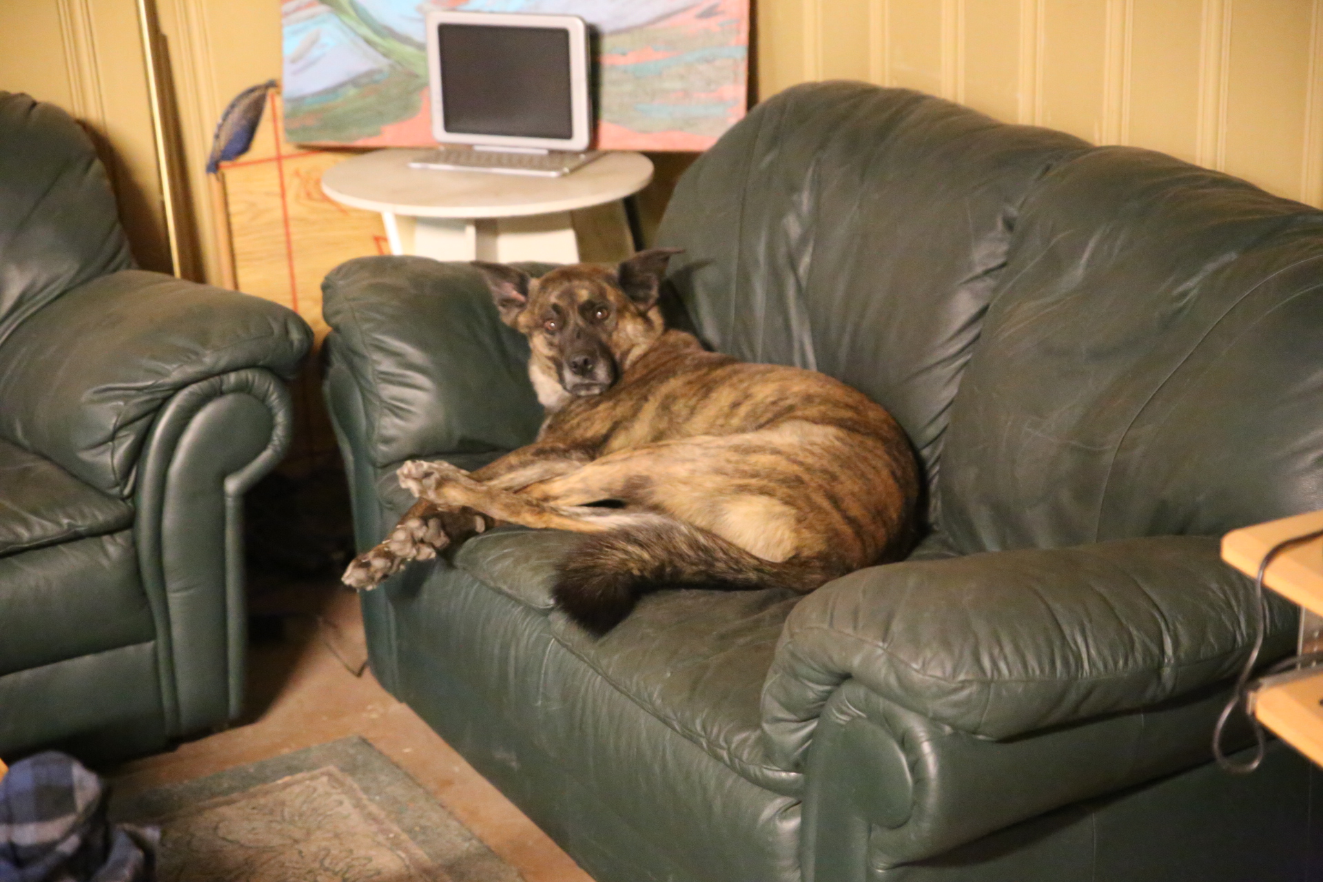 Beryl_couch