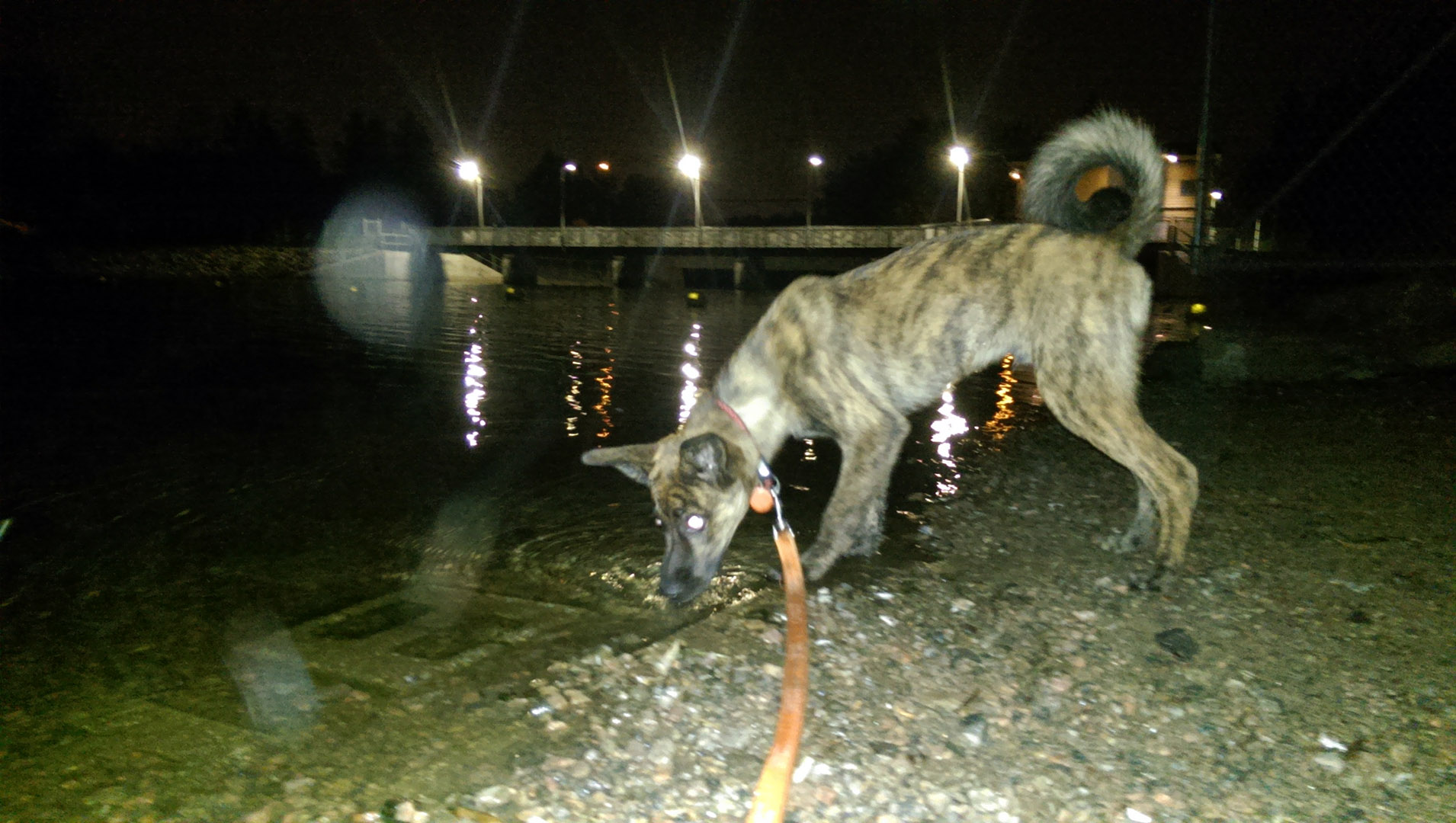 Beryl_drink_lac_st-charles