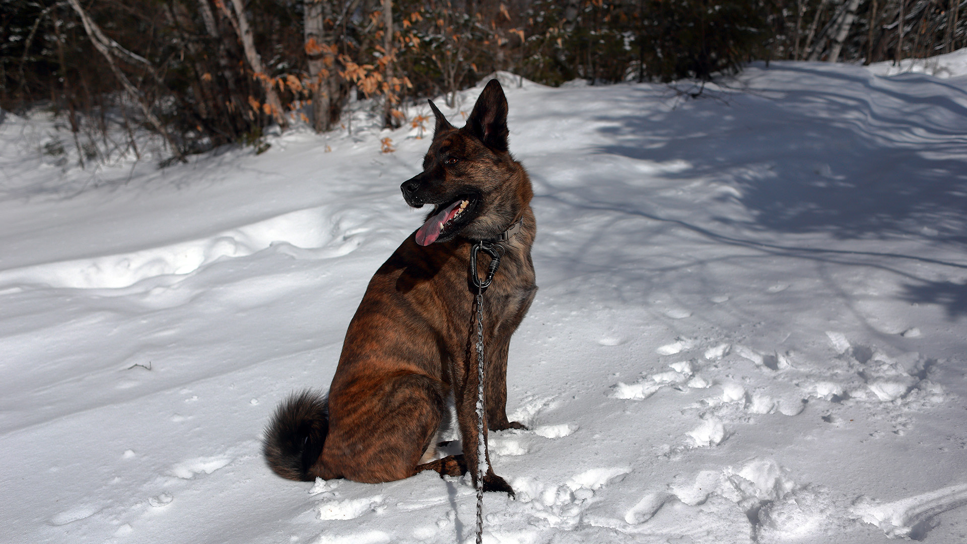 Beryl_frozen_lake_adventure_portrait