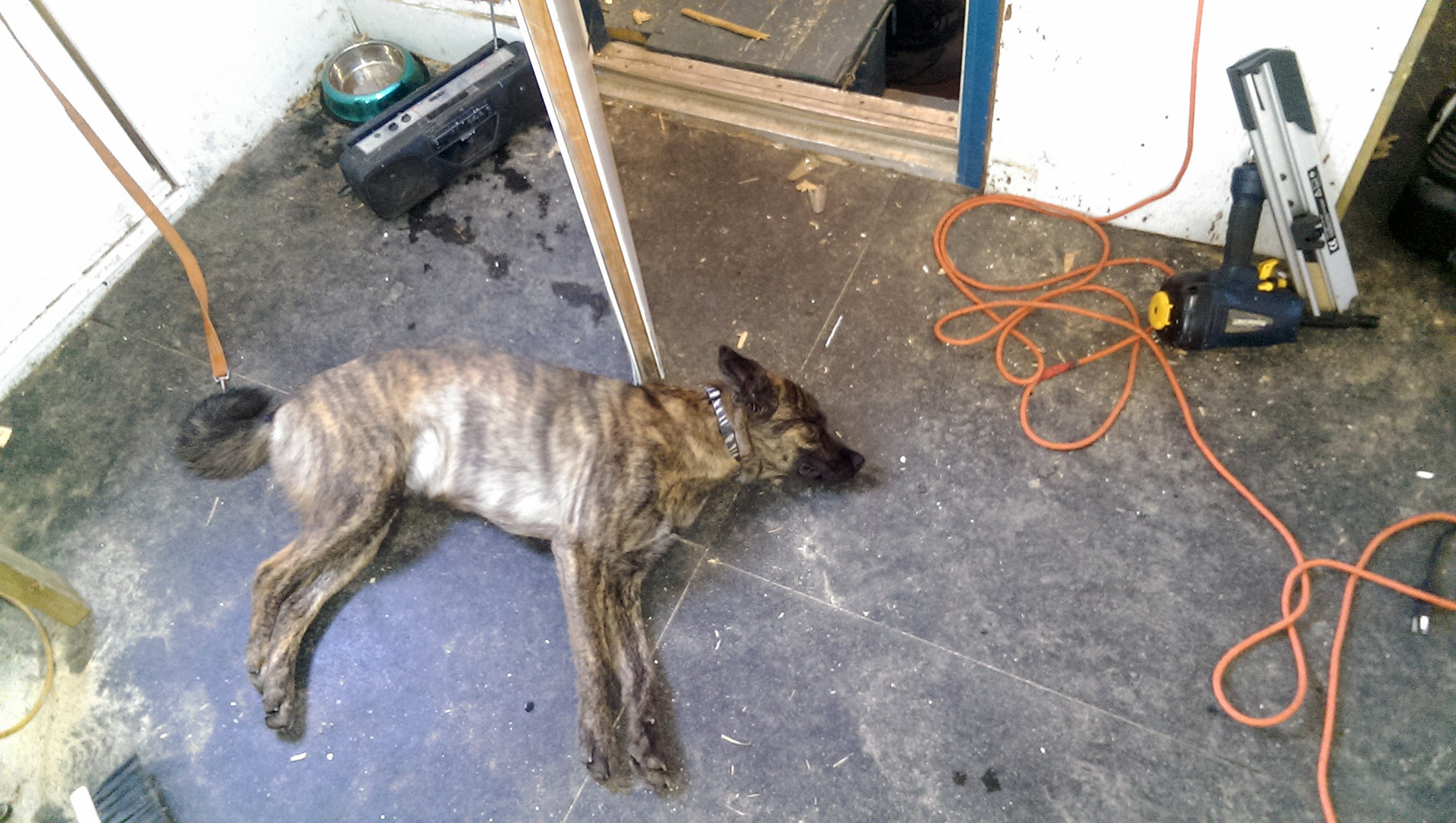 Beryl_mezzanine_sleep