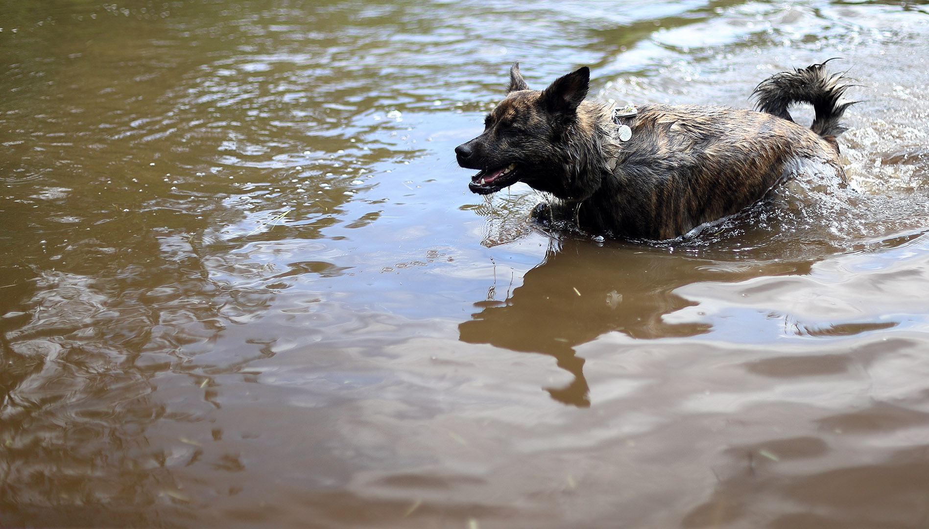 Beryl_swim_relax