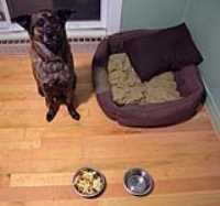 4yo_birthday_meal_beryl