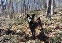 Beryl_Etang_Bellevue_portrait