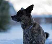 Beryl_Portrait_crop