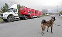 Beryl_catalyst_truck