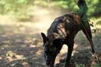 Beryl_fetch_profil