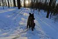 Beryl_neige_wide_paysage_sunset
