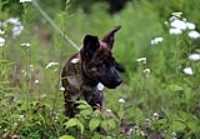 Beryl_portrait_trail_elz_on_earth