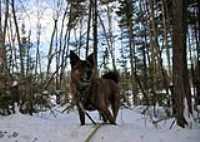 Beryl_promenade_hiver_lac_fripon_1