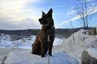 Beryl_promenade_hiver_lac_fripon_2