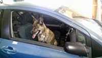 Beryl_ready_to_go