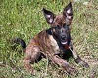 Mont_belair_Beryl