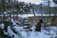 bery_lake_chair_wilderness