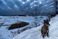 beryl_2hdr_dramatic_sky