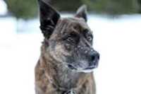 beryl_6dmk2_snow_shoot_1