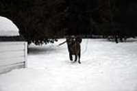 beryl_6dmk2_snow_shoot_2