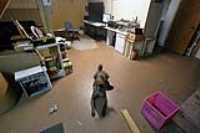 beryl_basement