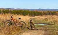 beryl_bike_kona_autumn_paysage