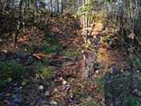 beryl_bike_lac_aqueduc