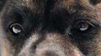 beryl_close_up_eye_reflect