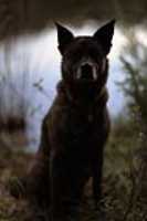 beryl_contrejour_lac_portrait