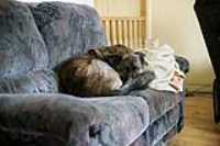 beryl_couch_salon