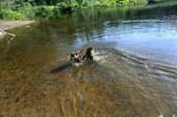 beryl_day_2_baignade