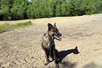 beryl_day_2_plage