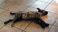 beryl_kitchen_floor_3months_birthday
